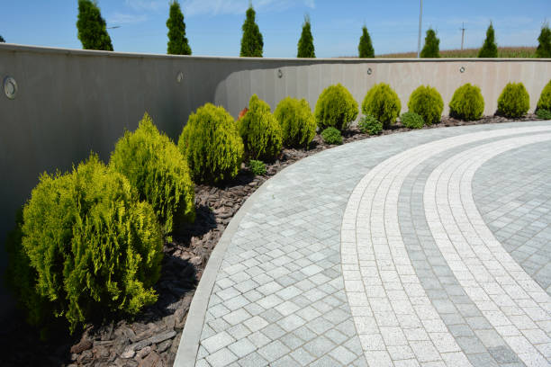 Professional Driveway Pavers in Belville, NC